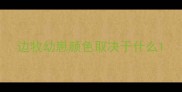边牧幼崽颜色取决于什么