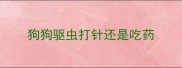 狗狗驱虫打针还是吃药