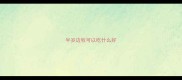 半岁边牧可以吃什么好