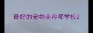 最好的宠物美容师学校