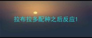 拉布拉多配种之后反应