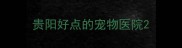 贵阳好点的宠物医院