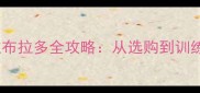 新手必看拉布拉多全攻略从选购到训练的5大关键期