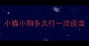 小猫小狗多久打一次疫苗