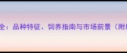 金毛拉布拉多混血犬全品种特征饲养指南与市场前景附培育数据与养护要点