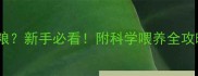 金毛犬一个月吃多少狗粮新手必看附科学喂养全攻略附真实开销清单