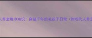 古代人养宠物冷知识穿越千年的毛孩子日常附现代人养宠指南
