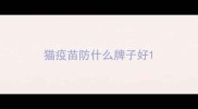 猫疫苗防什么牌子好