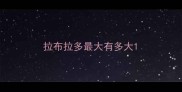 拉布拉多最大有多大