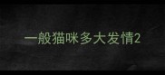 一般猫咪多大发情