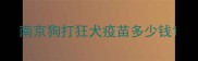 南京狗打狂犬疫苗多少钱