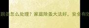 狗狗身上有跳蚤怎么处理家庭除蚤大法好安全有效不伤毛