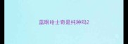 蓝眼哈士奇是纯种吗