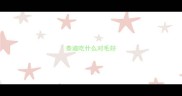 泰迪吃什么对毛好