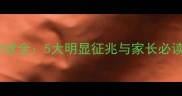 小狗发烧症状全5大明显征兆与家长必读护理指南