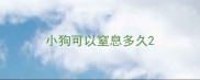 小狗可以窒息多久