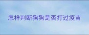 怎样判断狗狗是否打过疫苗