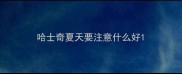 哈士奇夏天要注意什么好