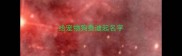 给宠物狗泰迪起名字
