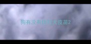 狗有没有伪狂犬疫苗