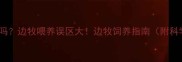 边境牧羊犬难养吗边牧喂养误区大边牧饲养指南附科学喂养全攻略