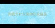 狗狗为什么接种狂犬疫苗