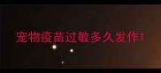 宠物疫苗过敏多久发作