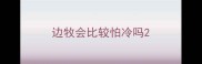边牧会比较怕冷吗