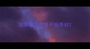 加菲猫几个月开始养好