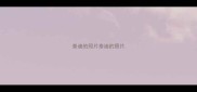 泰迪的照片泰迪的照片
