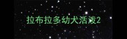 拉布拉多幼犬活泼