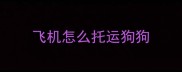 飞机怎么托运狗狗