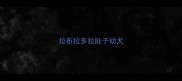 拉布拉多拉肚子幼犬