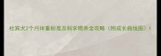 杜宾犬2个月体重标准及科学喂养全攻略附成长曲线图