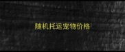 随机托运宠物价格