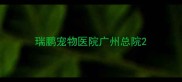 瑞鹏宠物医院广州总院
