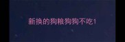 新换的狗粮狗狗不吃
