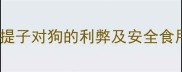 狗狗能吃提子吗提子对狗的利弊及安全食用指南附食谱