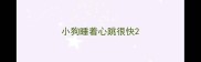 小狗睡着心跳很快
