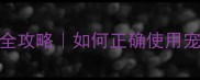 泰迪犬科学笼养全攻略如何正确使用宠物笼不伤宠不焦虑