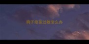狗子疫苗过敏怎么办