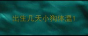 出生几天小狗体温