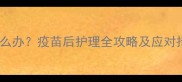 猫咪打疫苗后精神不振怎么办疫苗后护理全攻略及应对措施附专业兽医建议