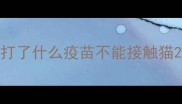 打了什么疫苗不能接触猫