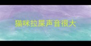 猫咪拉屎声音很大