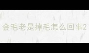 金毛老是掉毛怎么回事
