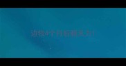边牧4个月后腿无力