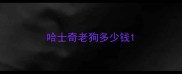 哈士奇老狗多少钱
