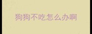 狗狗不吃怎么办啊