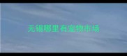 无锡哪里有宠物市场